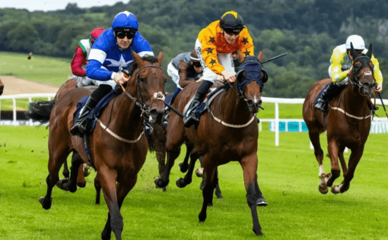 The Role of Horse Racing in Global Sports Culture