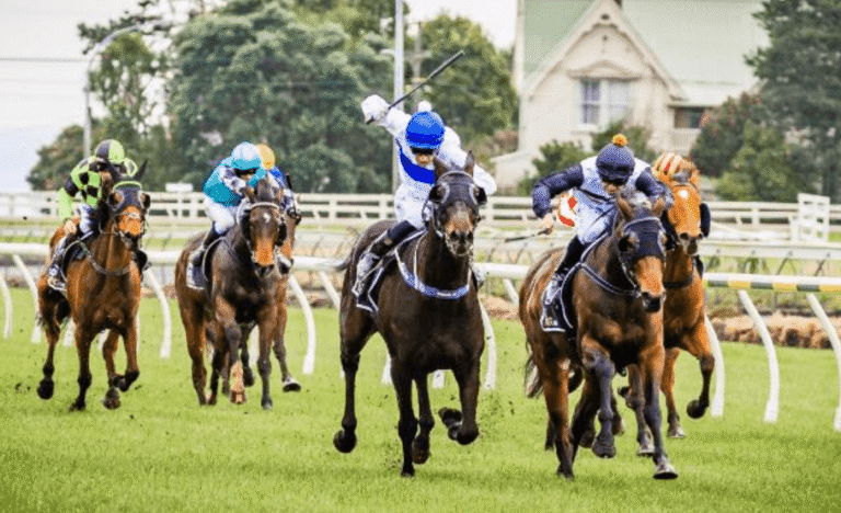 The Role of Horse Racing in Preserving Thoroughbred Bloodlines
