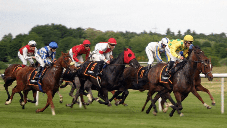The Role of Horse Racing Syndicates